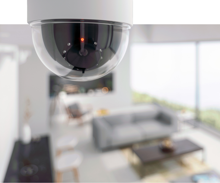 Security and Fire Monitoring Systems in Branson, MO - img3 Indoor video surveillance camera
